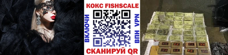 Cocaine Fish Scale купить наркотик Георгиевск
