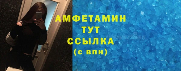 гашик Тавда