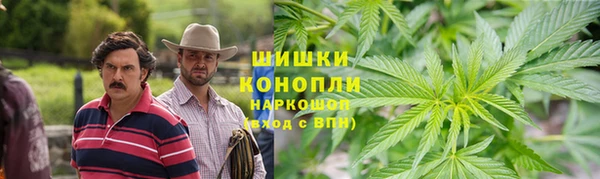 гашик Тавда