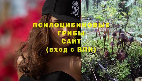 соль курить ск Тайга