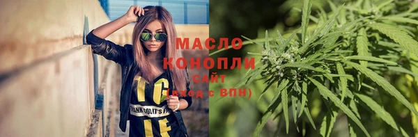 гашик Тавда