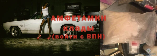 гашик Тавда
