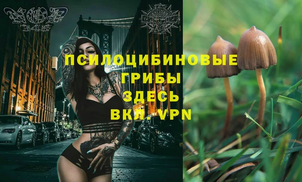 дурь Сясьстрой