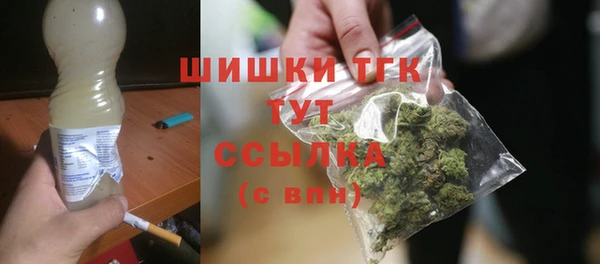 гашик Тавда