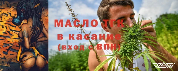 дурь Сясьстрой