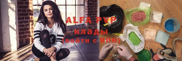 гашик Тавда