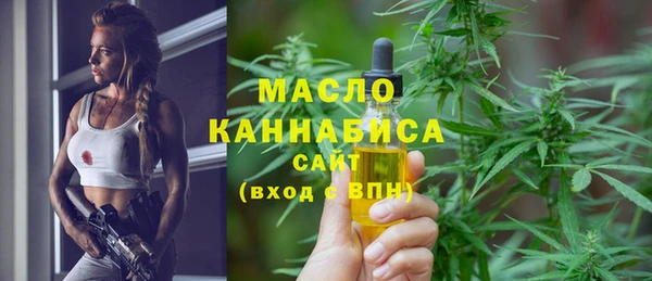 дурь Сясьстрой