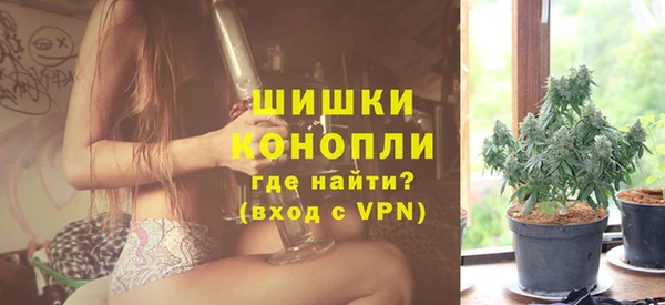 дурь Сясьстрой