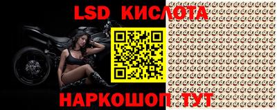 ALPHA PVP Кунгур