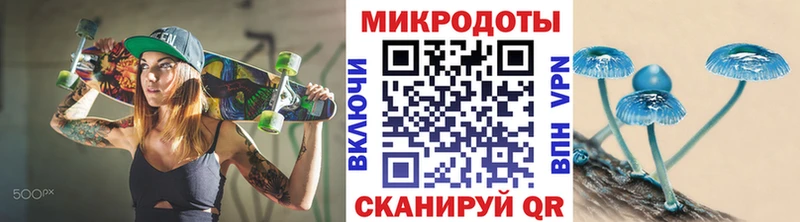 закладки  Георгиевск  Псилоцибиновые грибы Psilocybe 