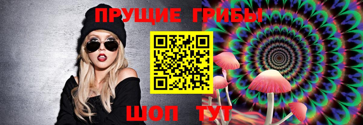 Георгиевск  Псилоцибиновые грибы мухоморы  Галлюциногенные грибы GOLDEN TEACHER  Вход с VPN 