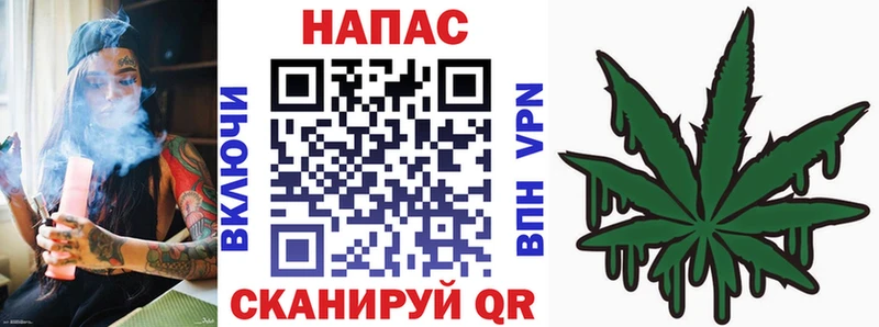 Шишки марихуана сатива  купить закладку  Георгиевск 